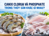 Canxi Clorua Và Phosphate (STPP) Trong Thủy Sản: Khác Gì?