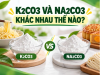 K2CO3 Và Na2CO3 Khác Nhau Thế Nào? Nên Chọn Loại Nào Cho Mì Và Bánh?