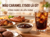 Màu Caramel E150d Là Gì? Công Dụng, Liều Dùng Và Giá Sỉ 2026