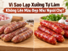 Vì Sao Lạp Xưởng Tự Làm Không Lên Màu Đẹp Như Ngoài Chợ?