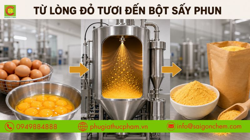 Bột lòng đỏ trứng được sản xuất từ lòng đỏ trứng tươi bằng công nghệ sấy phun.