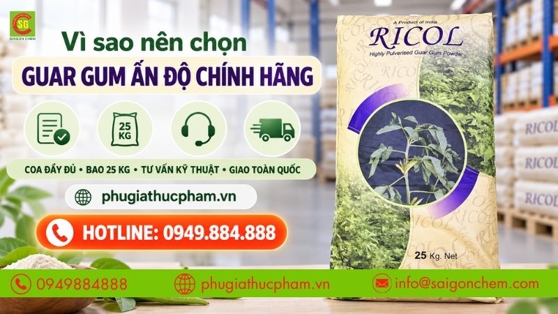 Guar Gum Ấn Độ nguồn gốc rõ ràng, đầy đủ chứng từ và hỗ trợ kỹ thuật.