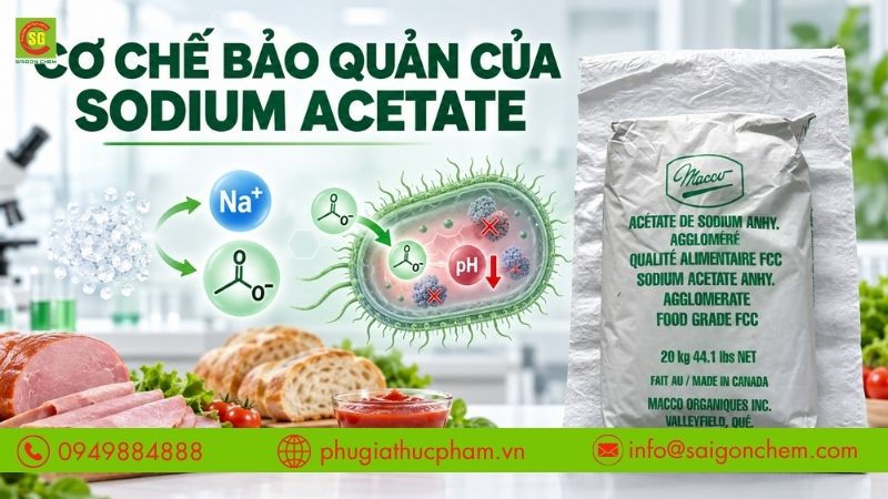 Sodium Acetate hỗ trợ kiểm soát vi sinh vật và ổn định pH, góp phần kéo dài thời gian bảo quản thực phẩm.