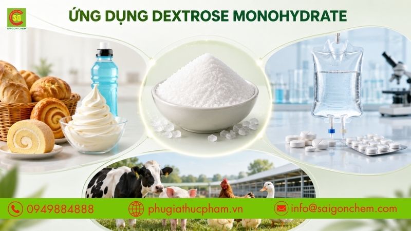 Dextrose Monohydrate được ứng dụng rộng rãi trong thực phẩm, đồ uống và chăn nuôi.