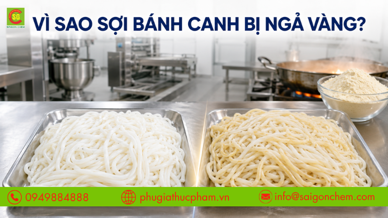 Chất lượng bột và quá trình chế biến có thể khiến sợi bánh canh bị ngả vàng, xỉn màu.