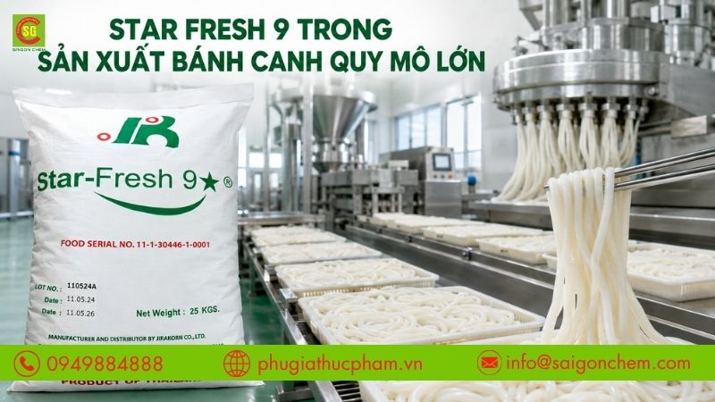 Star Fresh 9 hỗ trợ tối ưu màu sắc và kết cấu, phù hợp với quy trình sản xuất bánh canh quy mô lớn.
