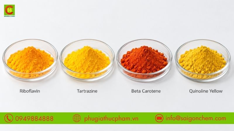 Các mẫu phẩm màu Riboflavin, Tartrazine, Beta Carotene và Quinoline Yellow đặt cạnh nhau để so sánh