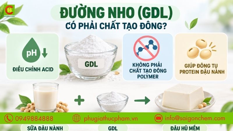 Giải đáp đường nho có phải chất tạo đông không qua vai trò điều chỉnh độ acid và đông tụ protein đậu nành