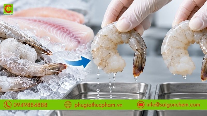 Ứng dụng Phosphate (STPP) trong chế biến tôm đông lạnh giúp tăng khả năng giữ nước và giảm hao hụt trọng lượng khi rã đông