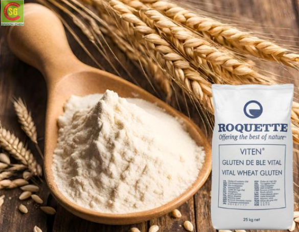 Bột Mì Căn Wheat Gluten - Phụ Gia Tạo Độ Dẻo Dai Tự Nhiên