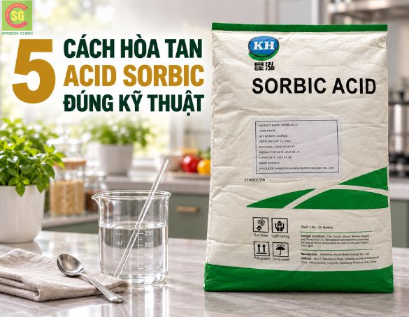 Cách Hòa Tan Acid Sorbic Đúng Kỹ Thuật Cho Từng Loại Sản Phẩm