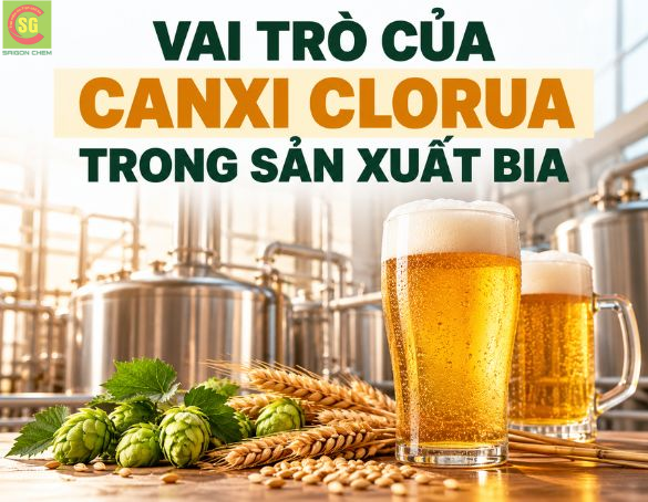 Canxi Clorua Trong Sản Xuất Bia: Vai Trò Xử Lý Nước Nấu