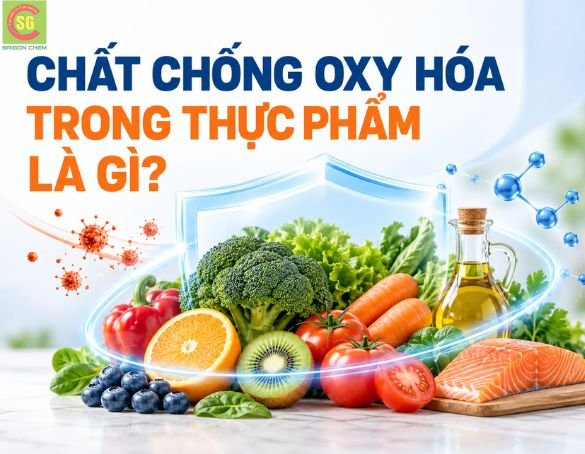 Chất Chống Oxy Hóa Trong Thực Phẩm Là Gì? Vai Trò Và Các Loại Phổ Biến