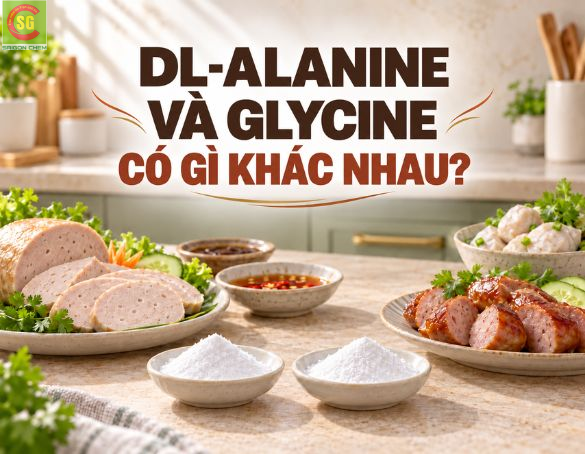 DL-Alanine Và Glycine: Khác Nhau Thế Nào, Nên Chọn Chất Điều Vị Nào?