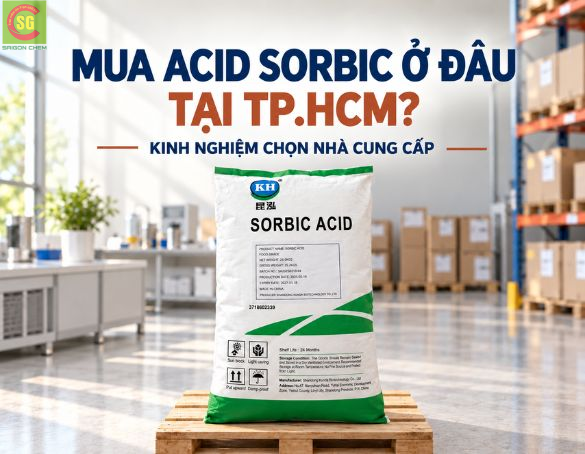 Mua Acid Sorbic Ở Đâu Tại TP.HCM? Kinh Nghiệm Chọn Nhà Cung Cấp Cho Sản Xuất Thực Phẩm