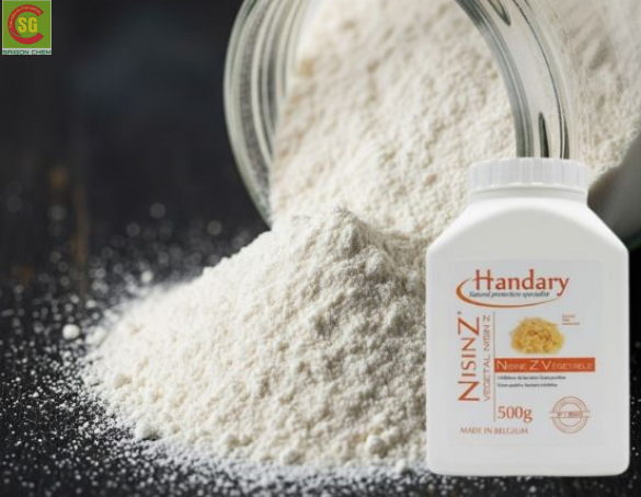 Nisin Chống Nấm Mốc – Giải Pháp Bảo Quản Tự Nhiên