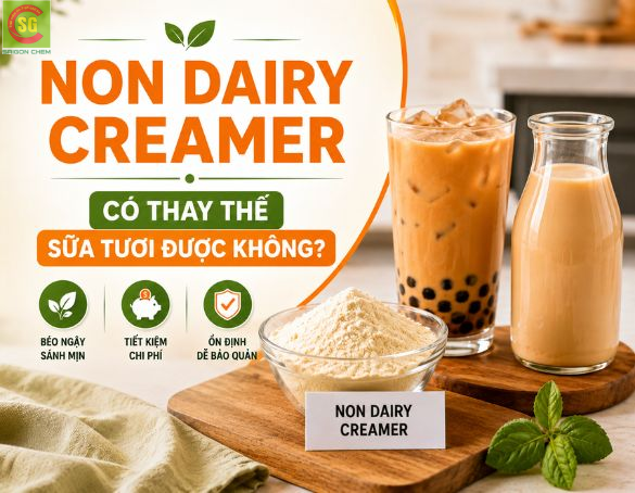 Non Dairy Creamer Có Thay Thế Hoàn Toàn Sữa Tươi Được Không?