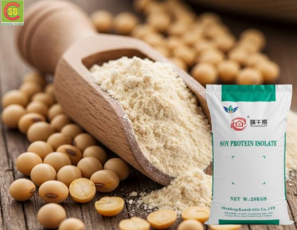 Lợi Ích Protein Thực Vật – Giải Pháp Bổ Sung Dinh Dưỡng 