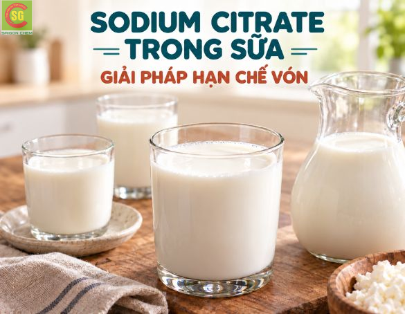 Sodium Citrate Trong Sữa: Giải Pháp Hạn Chế Vón, Tách Lớp Khi Gia Nhiệt