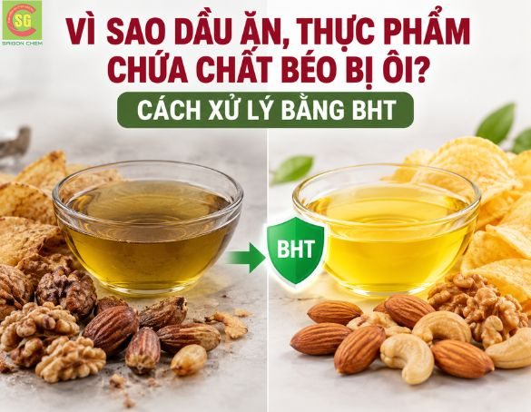 Vì Sao Dầu Ăn, Thực Phẩm Chứa Chất Béo Bị Ôi? Cách Xử Lý Bằng BHT